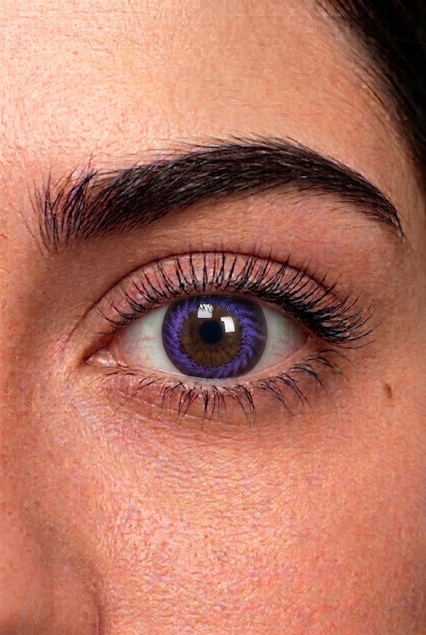 Zairo Lens Palette